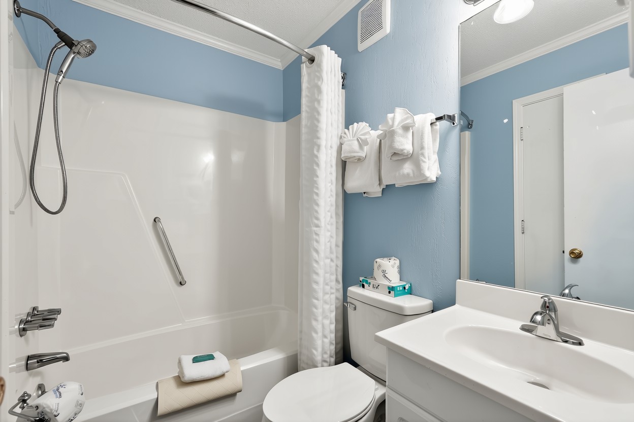 Ocean Forest Colony — gallery preview 1