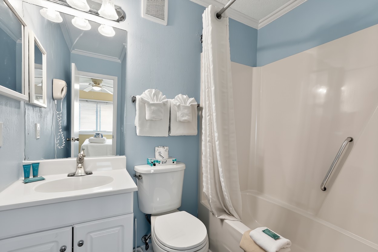 Ocean Forest Colony — gallery preview 3